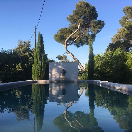 Domaine De Salabert Bed & Breakfast Nissan-lez-Enserune Luaran gambar